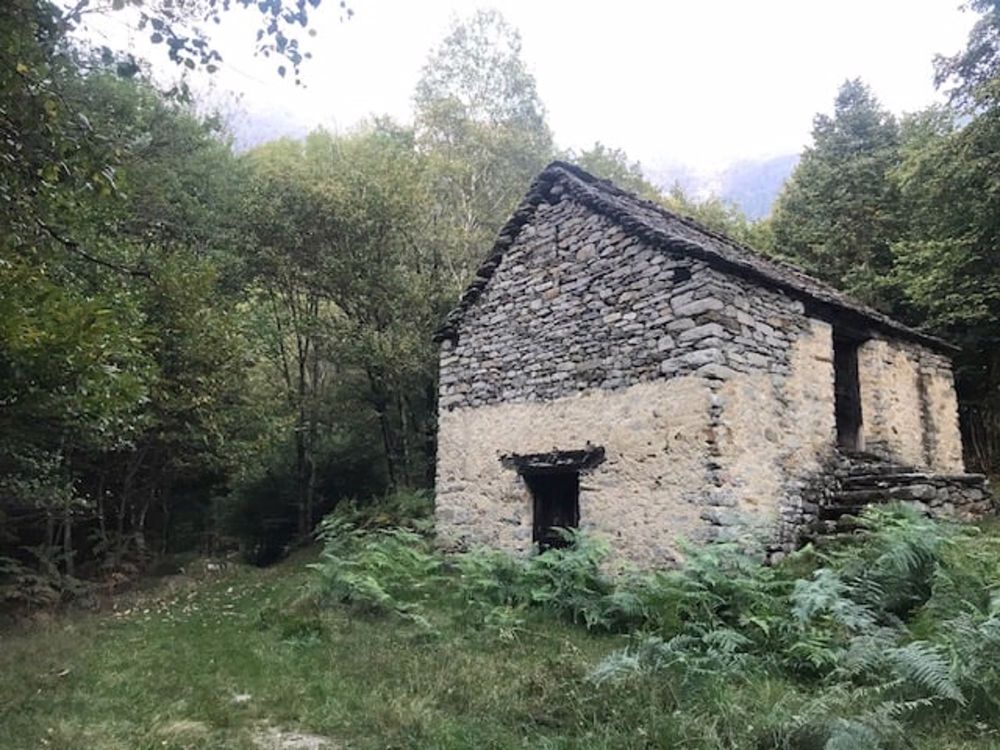 Affascinante Rustico di 1.5 Locali a Claro - Bild 2