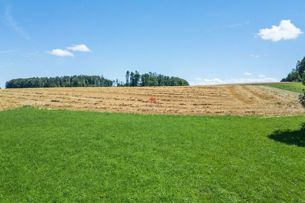 Ihr Zukunftsprojekt im Zürcher Weinland - Aussicht Süd