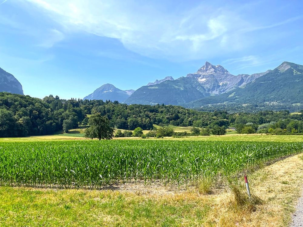 BEX - PROMOTION IMMOBILIÈRE - INVESTISSEZ DANS VOTRE AVENIR - Bild 1