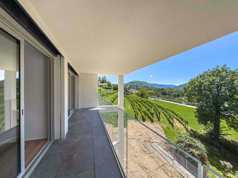 Neue 2.5-Zimmer-Wohnung mit Terrasse in Vezia - Bild 3