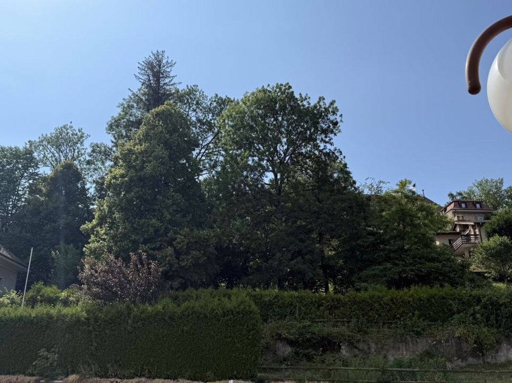 2/7 Vendus Propriétaire de votre Studio avec jardin pour CHF 663/ Mois Une valeur Sûre - Bild 11
