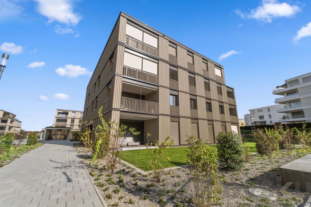 Neue familienfreundliche Wohnung - Bild 4