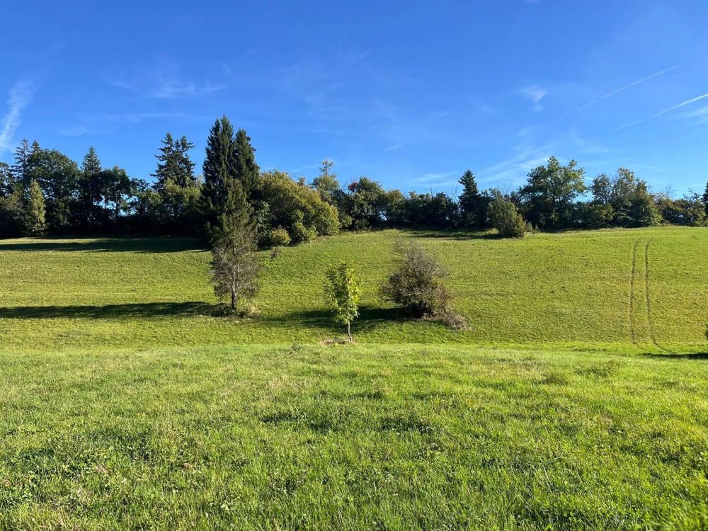 Magnificent Chalet in Crans-Montana mit Baugenehmigung - Bild 10