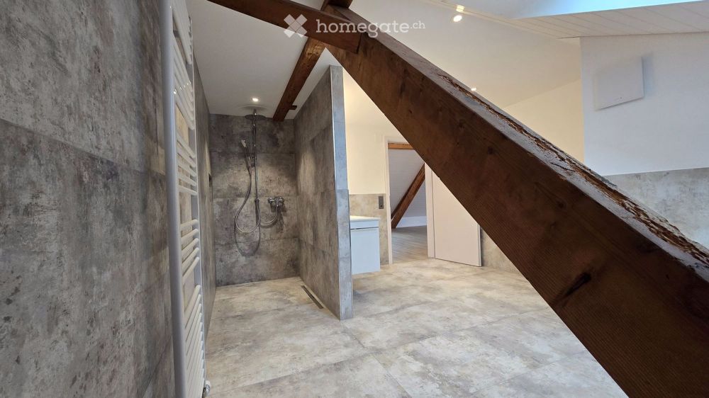 Exklusive 1-Zimmer-Loft-Wohnung in Thayngen - Neubau 2025 - Bild 9