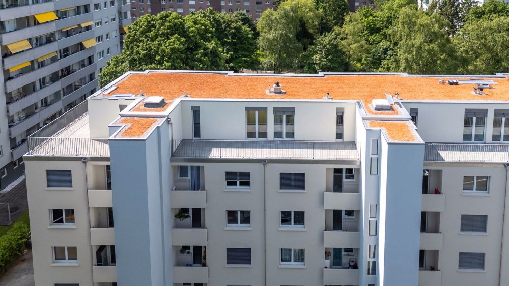 ERSTVERMIETUNG NACH NEUBAU: 2.5-Zimmer-Attikawohnungen mit grossen Terrassen - Bild 9