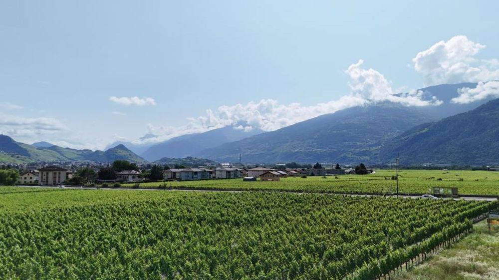 Ihre Villa in Vétroz: Werden Sie Eigentümer Ihrer individuellen Villa in Vétroz ab CHF 768.- pro Monat* - Bild 4