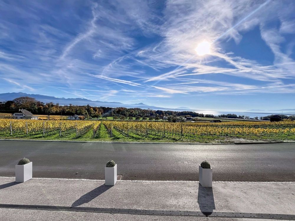 Exklusiv: Elegante Villa im Herzen der Weinberge - Bild 11