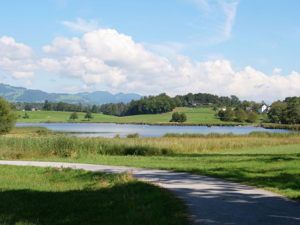 3 1/2-ZIMMER WOHNUNG MIT SICHT IN DIE FERNE UND AUF DIE BERGE, SONNIG, RUHIG, MITTEN IM DORF - Bild 9