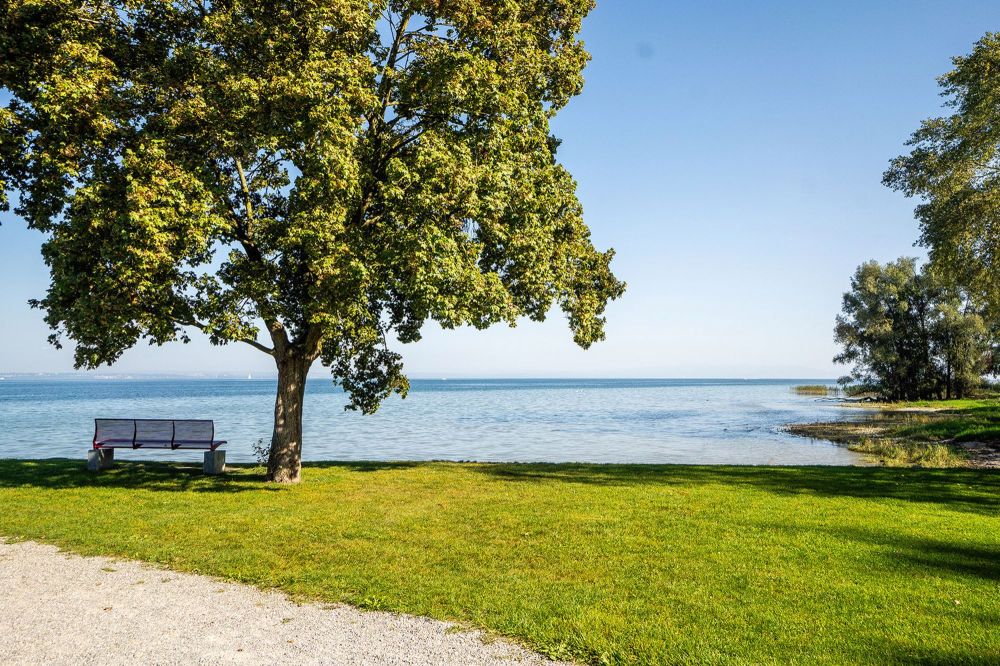 Ihr neuer Wohn(t)raum - see-wies.ch - Bild 10