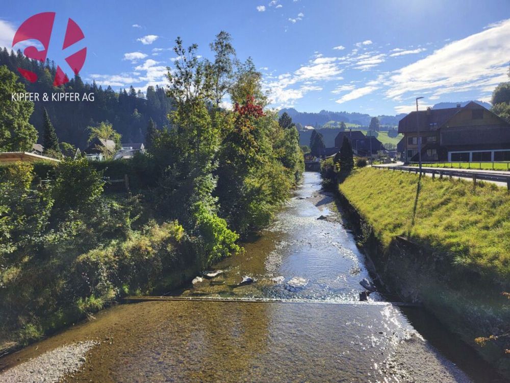 Exklusive und grosszügige Attika 4.5-Zimmer-Eigentumswohnung an ruhiger, naturnaher Lage! - Bild 1