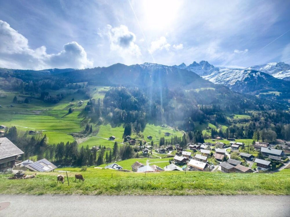 Wohnung mit 5.5 Zimmern in einem wunderschönen Chalet - Bild 1