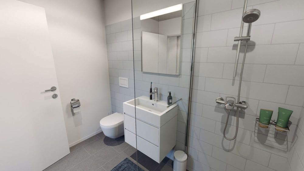 Modernes wohnen am Bucheggplatz! - Bad