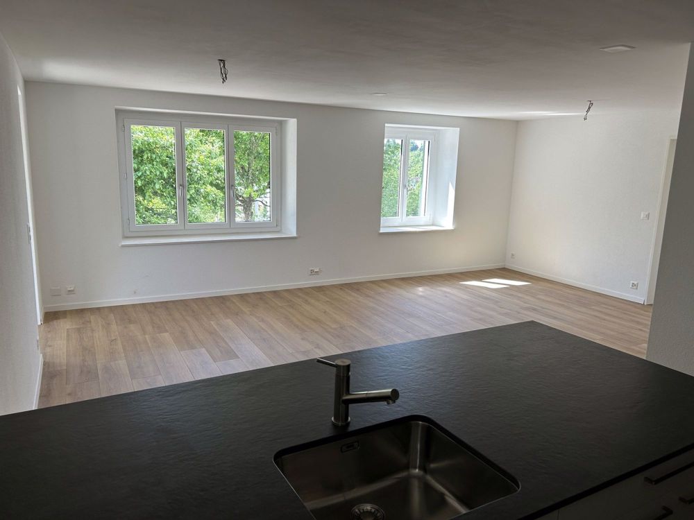 Erstvermietung: Hochwertig sanierte 3-Zimmer-Wohnung mit Garten, Sitzplätzen & Carport in Rüttenen (SO) - Küche_Wohnzimmer
