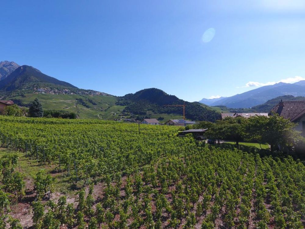 Auf den Sonnenhügeln von St-Séverin wartet Ihr zukünftiges Zuhause auf Sie. Werden Sie bereits ab CHF 583.- pro Monat* Eigentümer - Bild 8