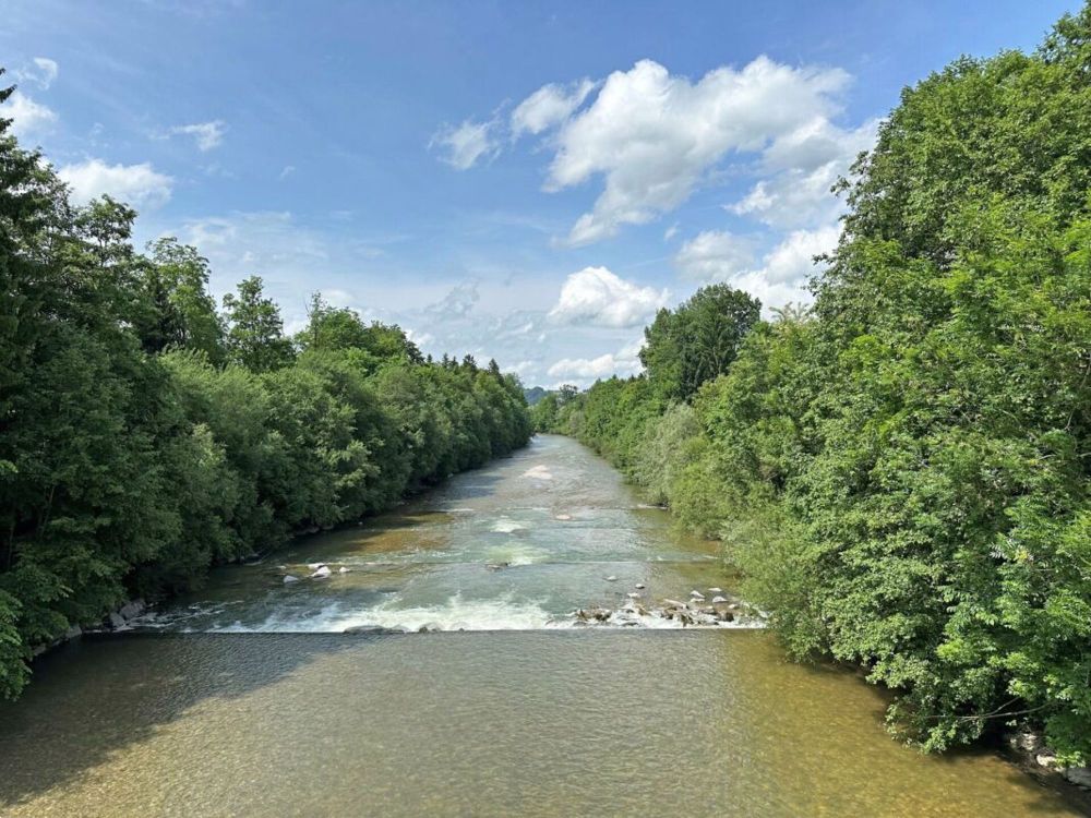 NEUBAU Zollbrück - Leben in der Natur, neben der Emme und trotzdem zentrumsnah - Bild 2