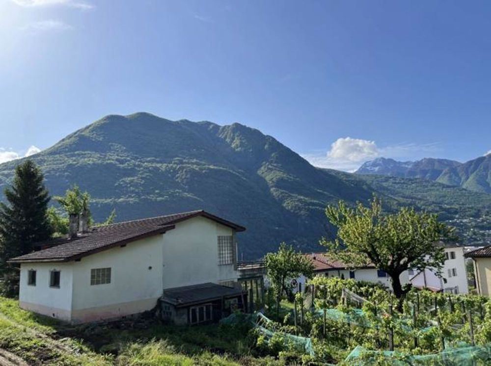 4.5 Loc PT Duplex con Giardino - Nuova Costruzione Minergie / 4.5z Neue Minergie-Wohnungen | dreamo.ch - Bild 1