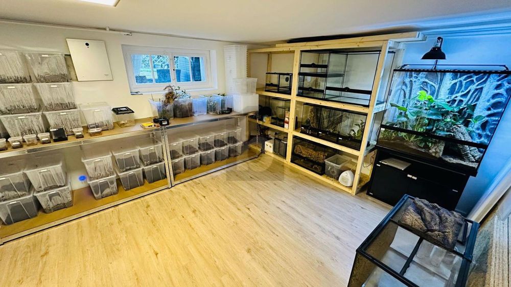 TRAUMLAGE MIT GESTALTUNGSSPIELRAUM - Bild 2