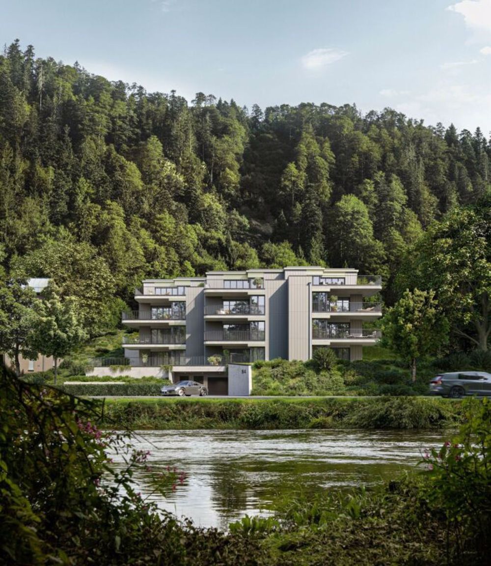 Stadtnahe Attikawohnung eingebettet in die Natur - Bild 1