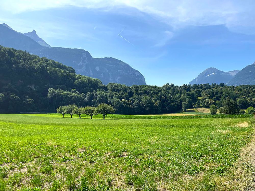 BEX - PROMOTION IMMOBILIÈRE - INVESTISSEZ DANS VOTRE AVENIR - Bild 2