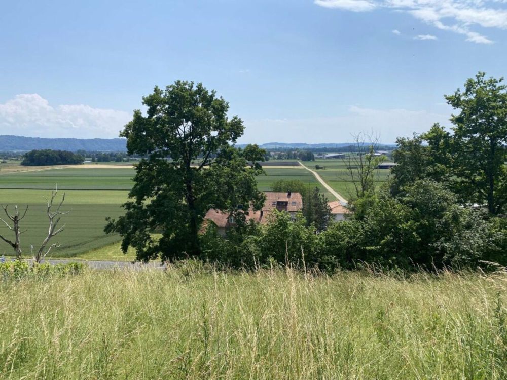 Zweieinhalb-Zimmer-Wohnung in Gampelen - Bild 6