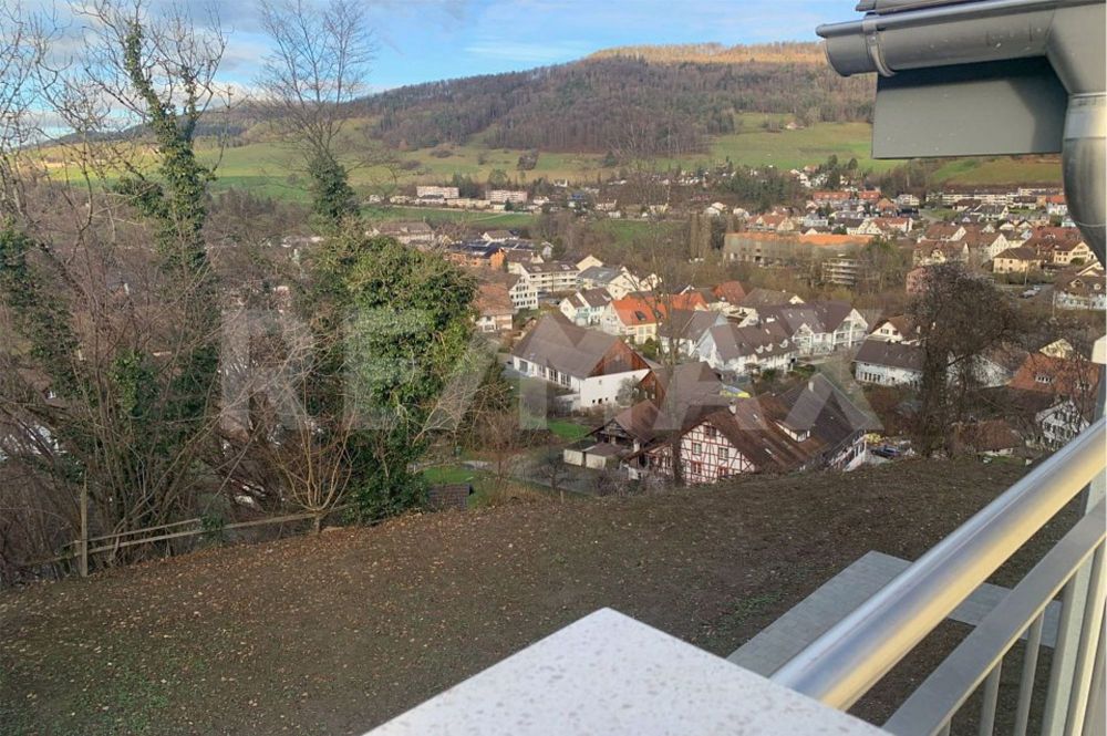 6.5-Zimmer Eigentumswohnung im Neubauprojekt "Smiledörfli Wydum Rorbas" - Haus 2 - Bild 3