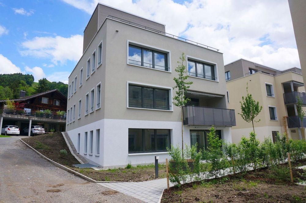 Neubau: Wohn-/Geschäftshaus - Mehrgenerationen-Haus (Minergie-P) - Bild 1