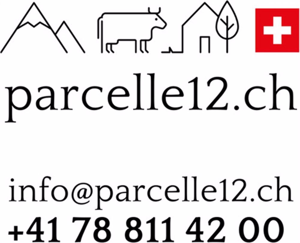 3.5 neue Zimmer mit privatem Garten - Bild 2