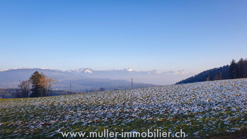 Charmanter Bauernhof mit Renovierung - zwischen Natur und Moderne! - Bild 13