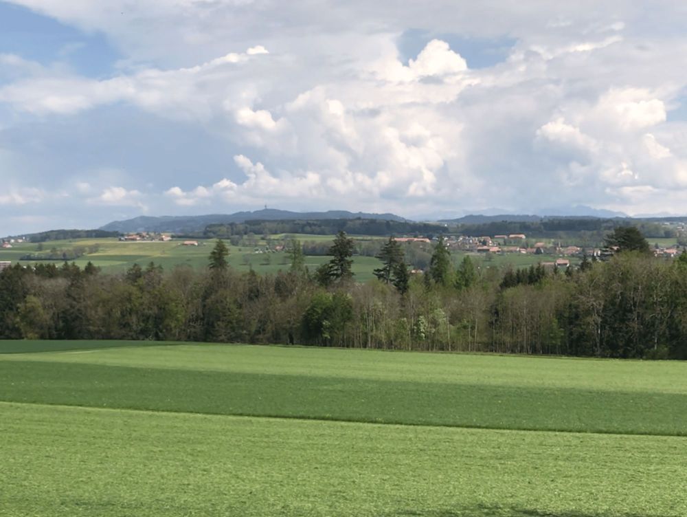 Nouvelle promotion de 4 villas individuelles - Bild 8