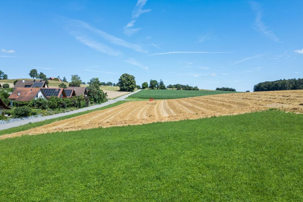 Moderne Wohnqualität im Grünen - Bild 9