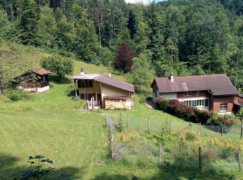 NATURJUWEL: 2'136m² Wiese, mit 1 bewilligtem Haus, 100% autark, Natur pur Waldlichtung - Bild 8