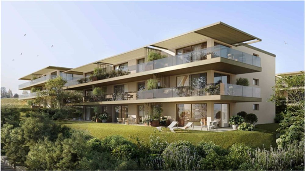Neubau 3.5 Zimmer-Penthouse nach Süden - Bild 5