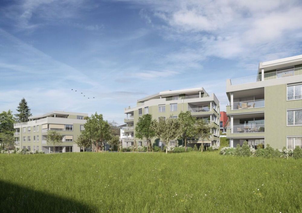 3.5-Zimmer-Wohnung Murhubel Triengen - Bild 1