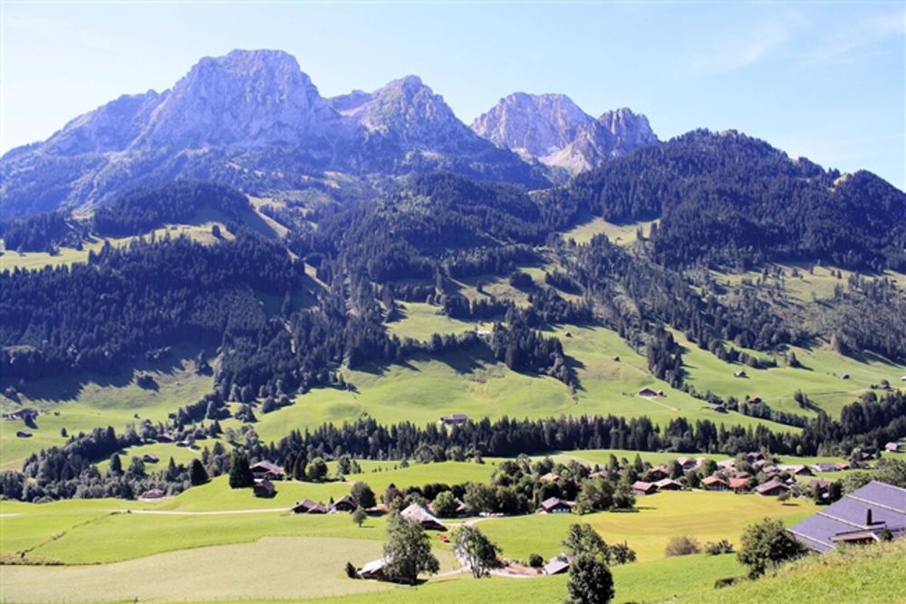 Außergewöhnliches Chalet - Idyllische Lage - Bild 1