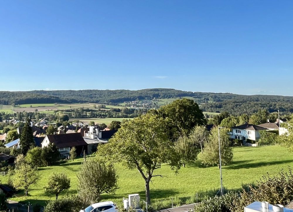 Exklusives Mehrfamilienhaus 'The View' in Rodersdorf - 4.5 Z'Wohnung - Aussicht / View