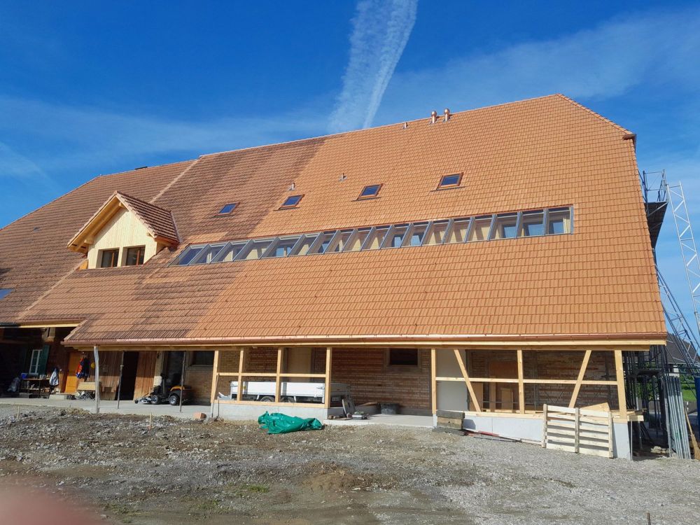 Erstvermietung in Bauernhaus - Bild 1