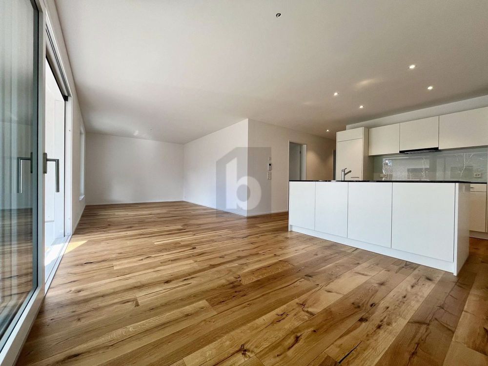 WEITSICHT IM GRÜNEN - Bild 2