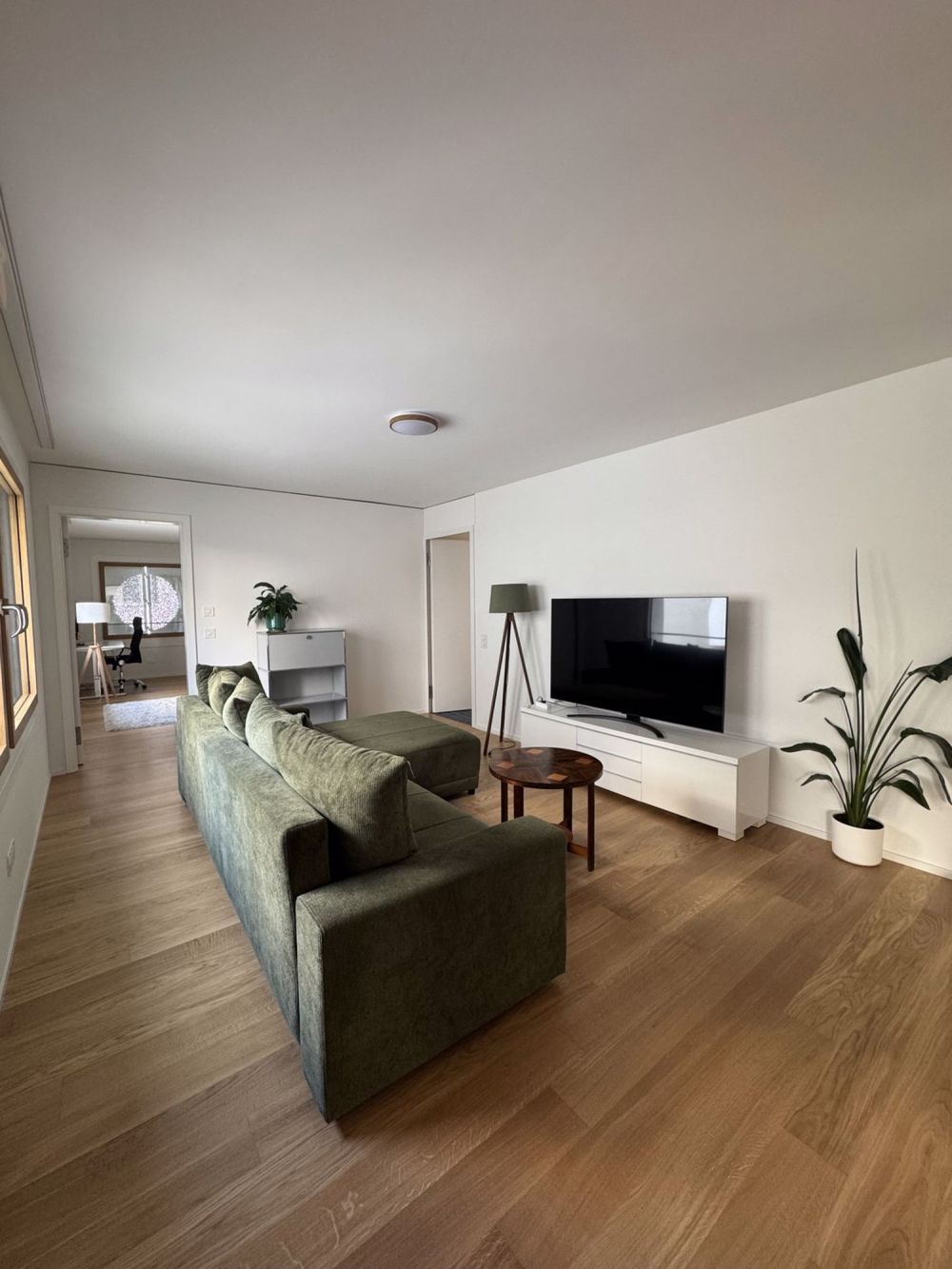 Furnished Modern Apartment in Zurich Short-Term Sublet (December 2025 & January 2026) - Wohnzimmer
