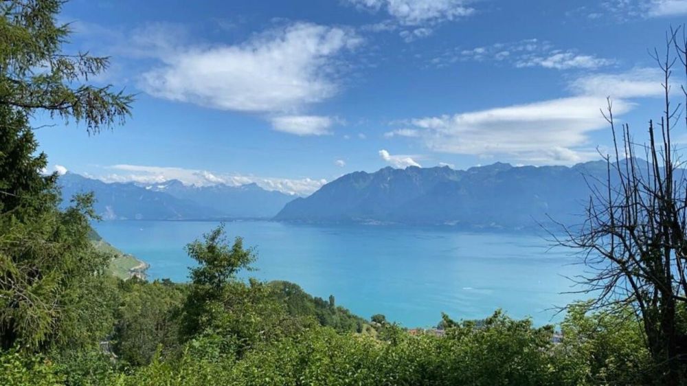 Appartement neuf de 4.5 pièces en duplex & vue lac - Bild 9