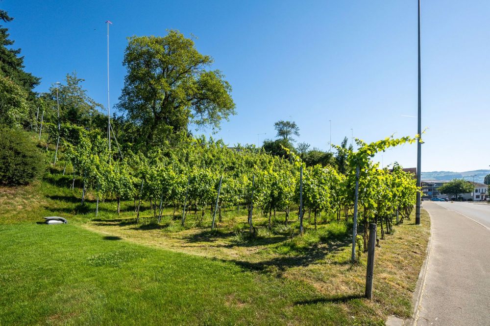 Herzlich willkommen in Ihrem zu Hause "am-wiberg.ch" - Bild 5