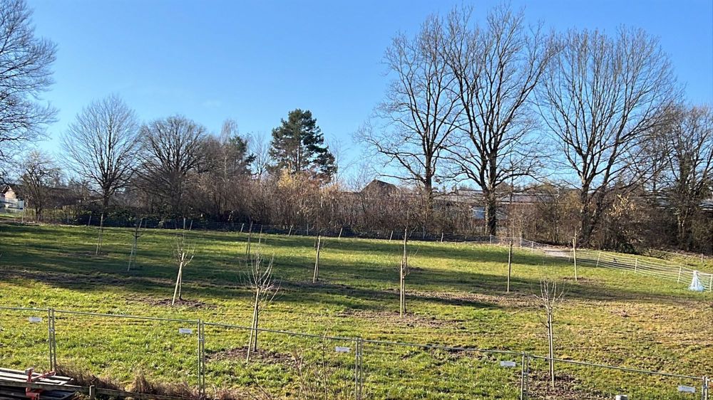 ERSTVERMIETUNG: Wohntraum SAPHIR mit Seeblick und grosszügiger Sonnenterrasse - Bild 7