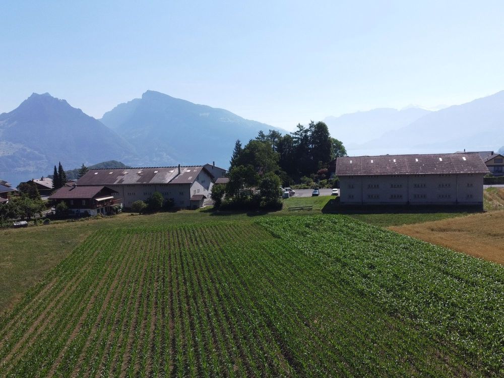 Neubauprojekt "Beim Niesen" - Ihr Haus - In 4 Minuten am Bahnhof Spiez! - Bild 9