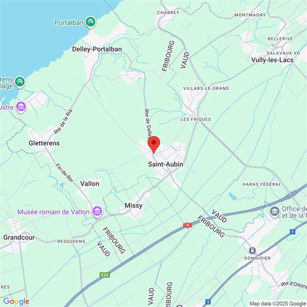 Eine neue Eigentumswohnung zum Verkauf in St-Aubin, FR. - Bild 1