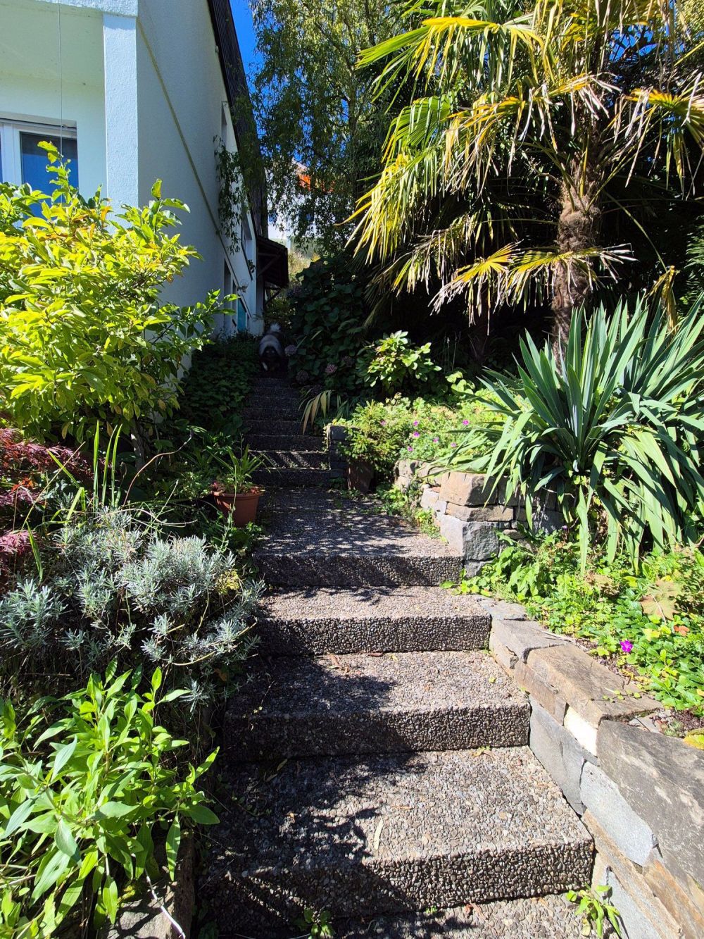 Loftartige 2.5 Zi Whg mit Terrasse Kriens- Erstbezug ! 77 qm - Bild 3