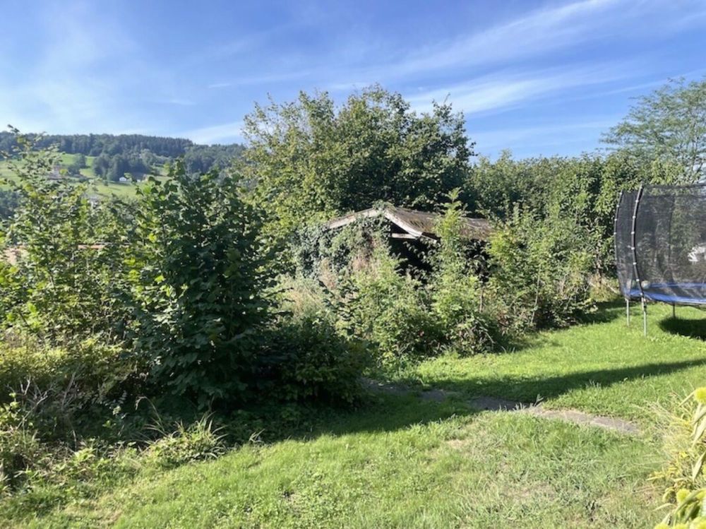 Neubauprojekt : Einfamilienhaus 1.5 Zimmer - Bild 7