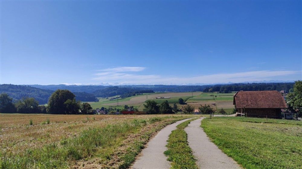 Natürlicher Charme / letzte Möglichkeit - Bild 3