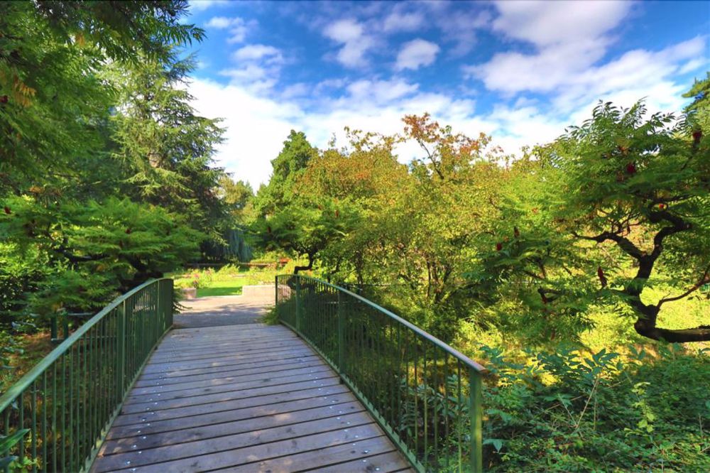 B03_Wohnung mit 5.5 Zimmern im 1. Stock - Parc public Emilien Pot