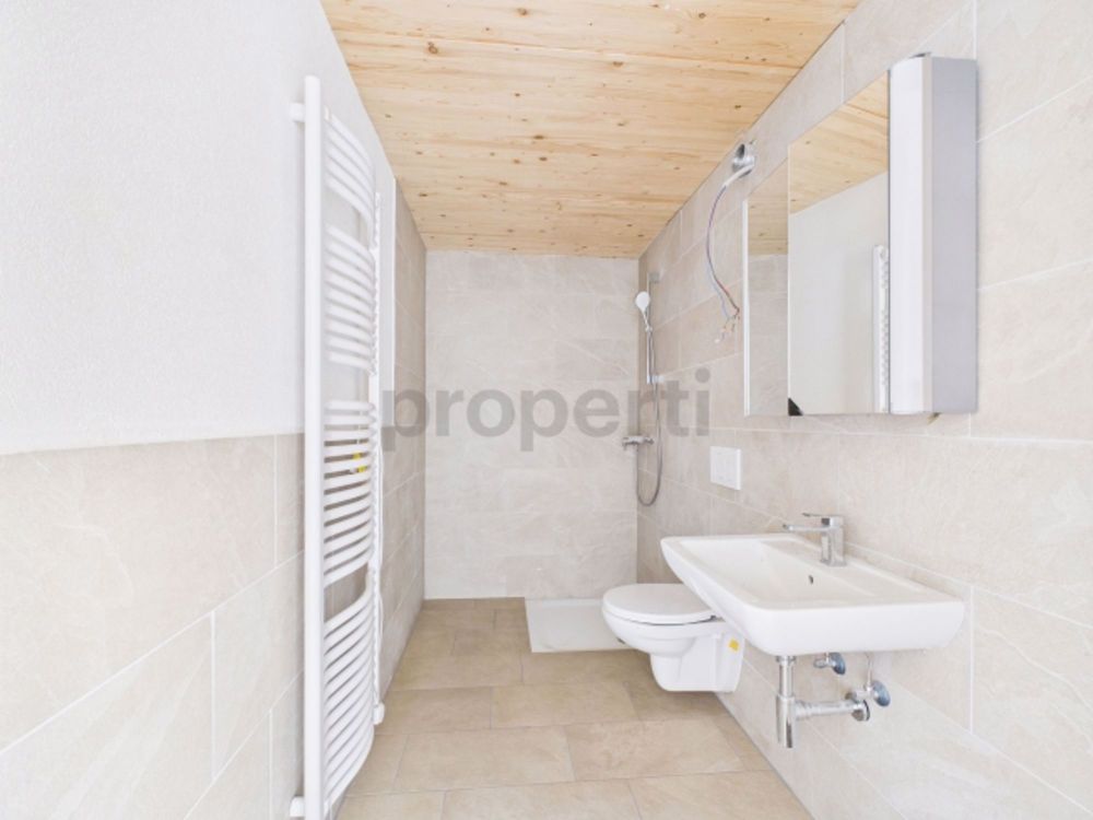 Brandneue 3.5 Zimmer Erdgeschosswohnung mit historischem Charme – familienfreundlich & altersgerecht in Grossdietwil LU - Bild 8