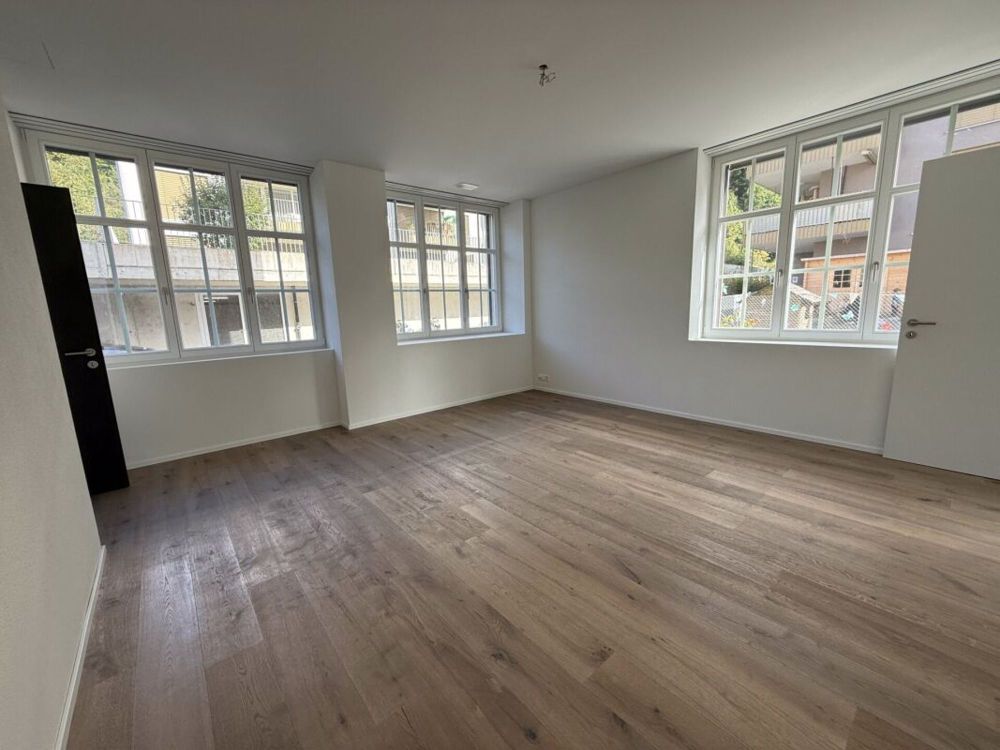 Familienfreundliche, loftartige 4.5 Zimmer Wohnung mit Sitzplatz - Bild 7