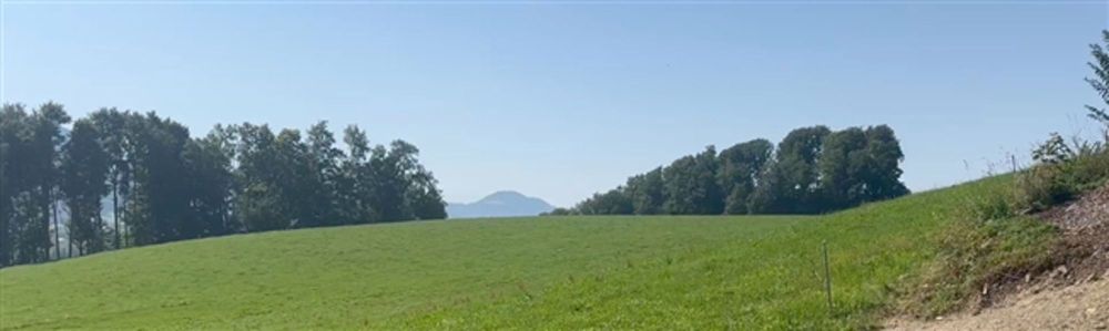 Veveyse FR – Zeitgenössische 5.5-Zimmer-Villa mit herrlicher Aussicht - Bild 2